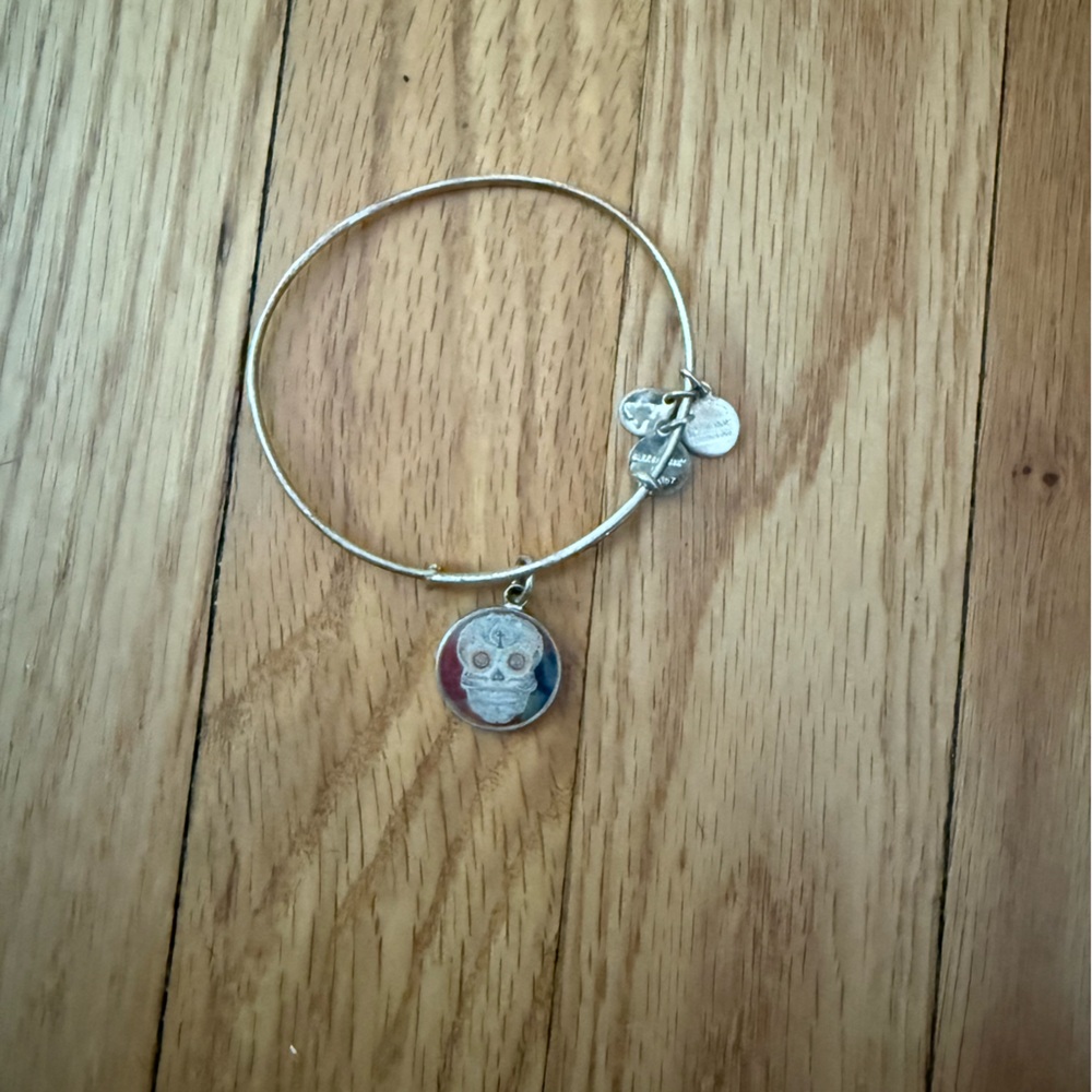 Gold Skull Charm Alex and ani